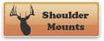 Shoulder Mounts
